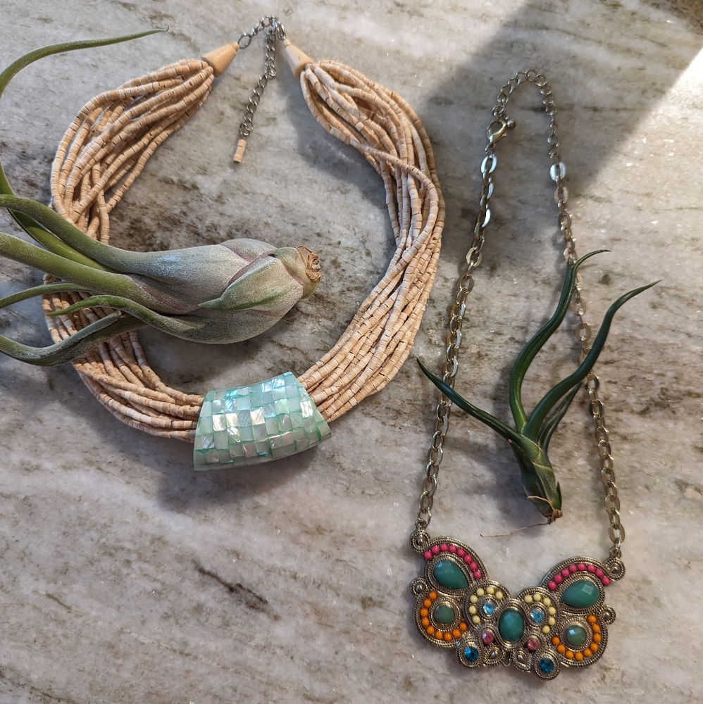2 women's necklace